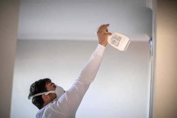 Best Mold Damage Repair  in Bloomington, TX
