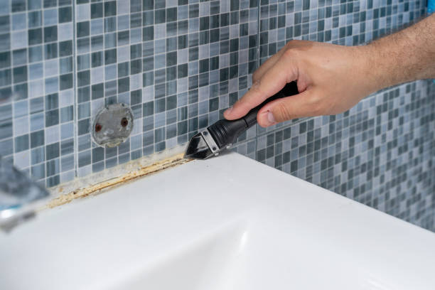 Best Commercial Mold Removal  in Bloomington, TX